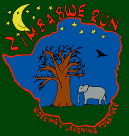 Zim Run T-shirt 2007
